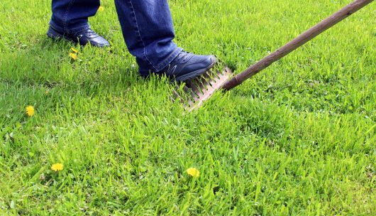 Can You Sue Someone if You Are Injured on Their Property?